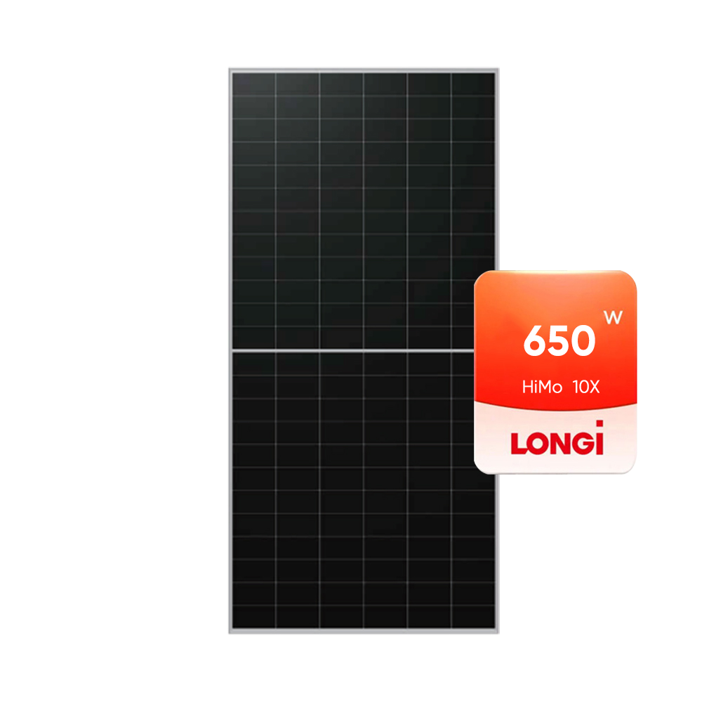 Longi Hi-Mo10X 650W Mono Facial Solar Panel